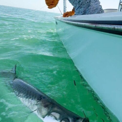 Ck4KTFNuYXBjaGF0LzEzLjQwLjAuNDUgKFNNLVM5MTFVOyBBbmRyb2lkIDE1I1M5MTFVU1FVNkRZRDkjMzU7IGd6aXApIFYvTVVTSFJPT00=