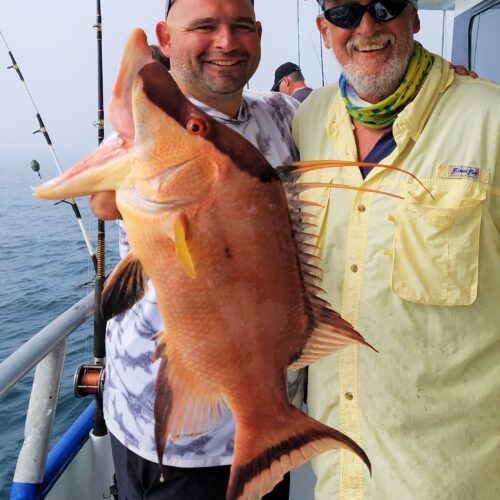 A Hubbard's Marina private charter deep sea fishing Madeira beach fishing charters offshore snapper fishing st petersburg (12)