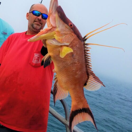 A Hubbard's Marina private charter deep sea fishing Madeira beach fishing charters offshore snapper fishing st petersburg (13)