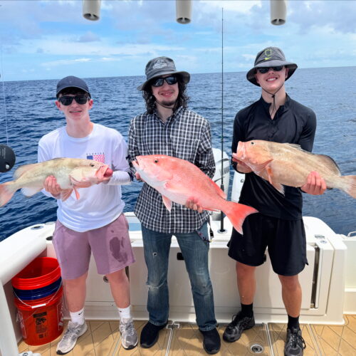 C49C0C0B-6AC5-414D-8EF1-22DB1B860D06