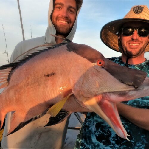 GOPR0812 - Copy