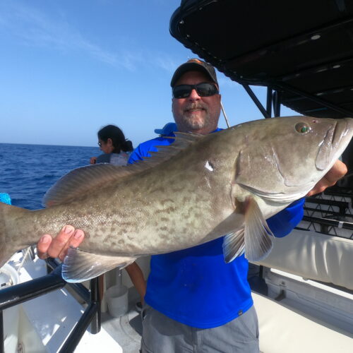 DCIM100GOPROGOPR8629.JPG