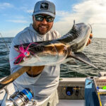 Silver Lining Charters