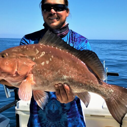 Hubbard's Marina Johns Pass deep sea fishing charters Saltwater fishing charter tampa bay offshore deep sea fish grouper fishing florida tampa bay area st. petersburg gulf beaches snapper (1)