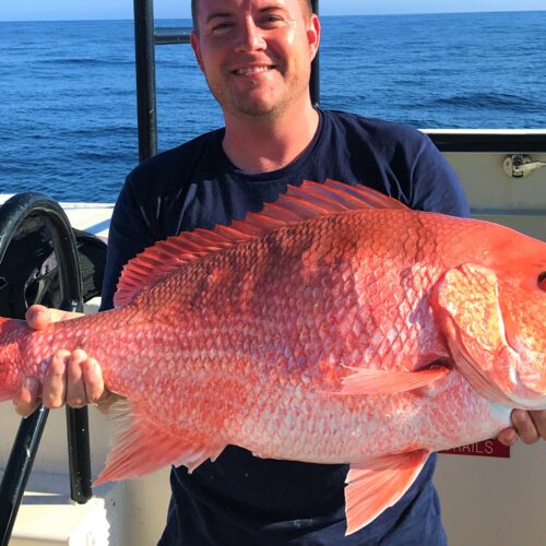 Hubbard's Marina deep sea fishing (5)