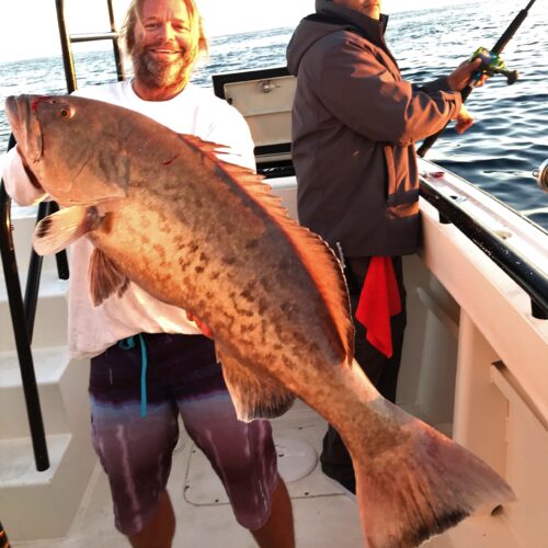 Hubbard's Marina private charter fishing (3)