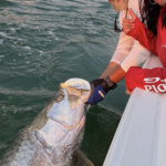 On The Bay Fishing Charters