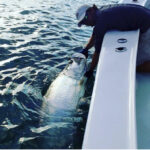 Non Stop Fishing Charters