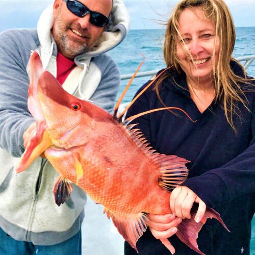 Jacob 'smokey' grant our first mate and one very happy lady angler showing off her monster hogfish from the 10 hour all day deep sea fishing trip at Hubbard's Marina inside Johns Pass