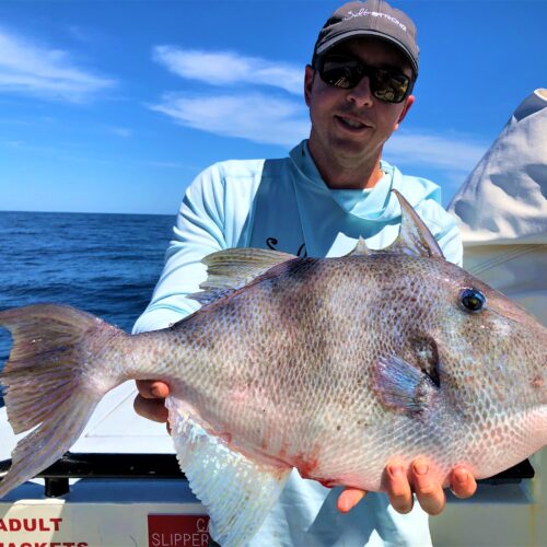Luke Simonds, Co-Founder of Salt Strong from Winter Haven, FL showing off a big triggerfish from the 12 hour extreme at Hubbard's Marina