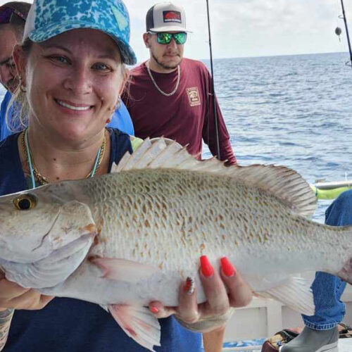NEARSHORE-mangrove-snapper3-best