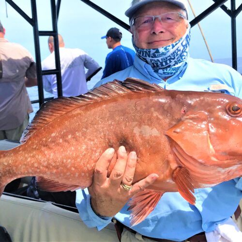 Nice red grouper from the 12 hr extreme trip at Hubbard's Marina (2)