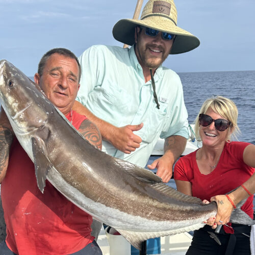 OFFSHORE-cobia-best