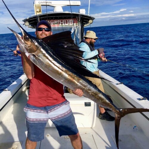 OFFSHORE - sailfish (2)