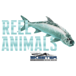 Reel Animals Charters