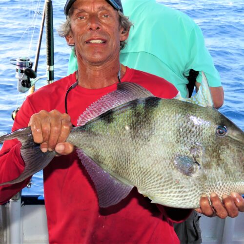 Ritchie Sipple from St Pete Beach Florida showing off a nice Triggerfish from the 39 hour at Hubbard's Marina