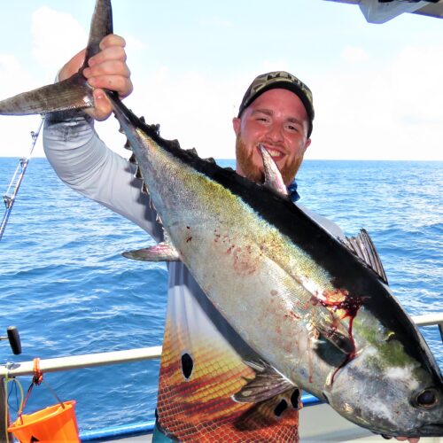 blackfin tuna - offshore