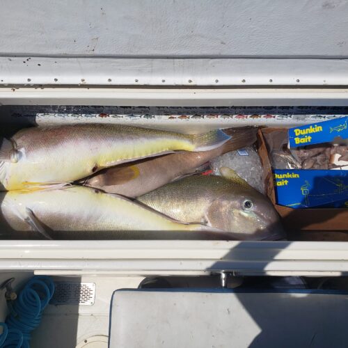 full box