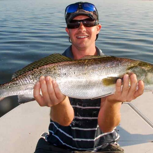 huge spotted seatrout caught in the indian river florida