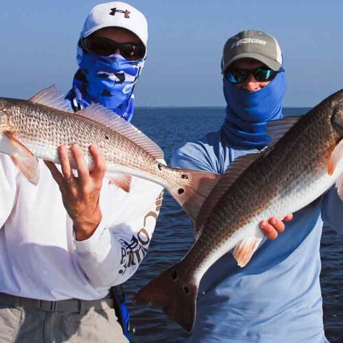 ii-redfish