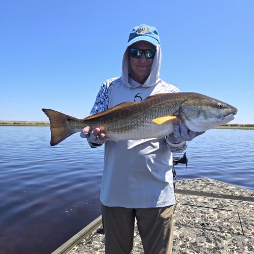 inbound1322372539498251625