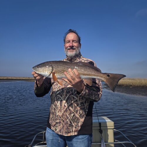 inbound2488491122343794409