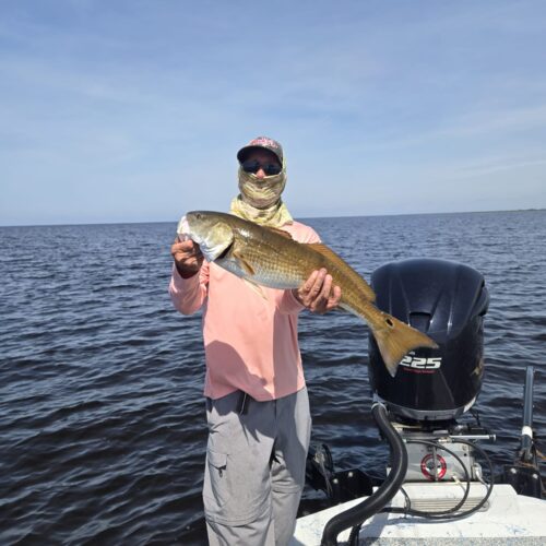 inbound2739262707920422967