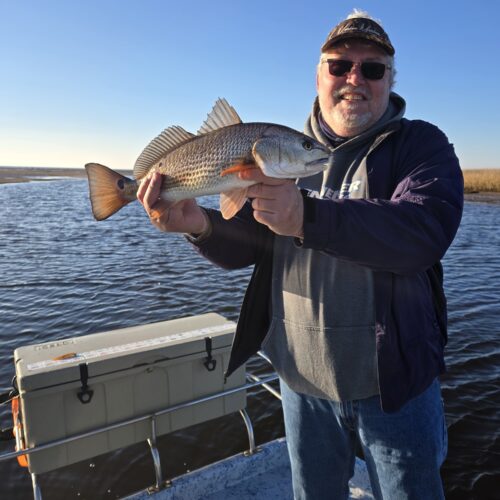 inbound292399155703540484