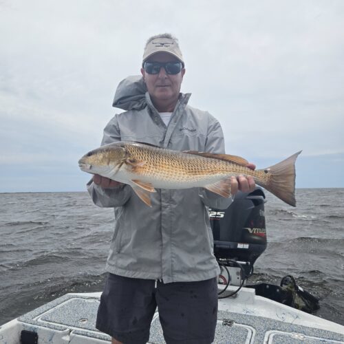 inbound3116064400078841279