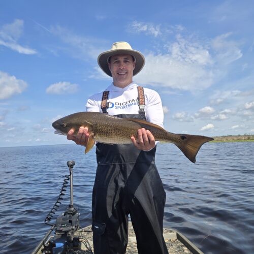 inbound3595739382729152367