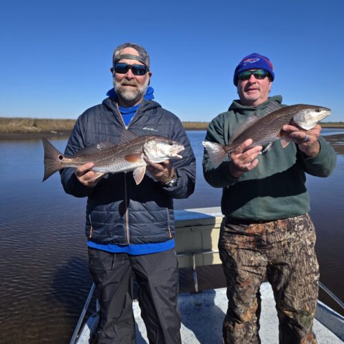 inbound4349536223712601504