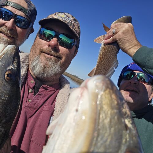 inbound5133170000587435040