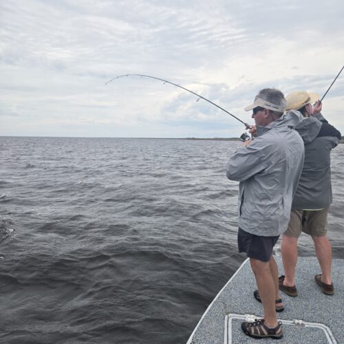 inbound5672673846016741780