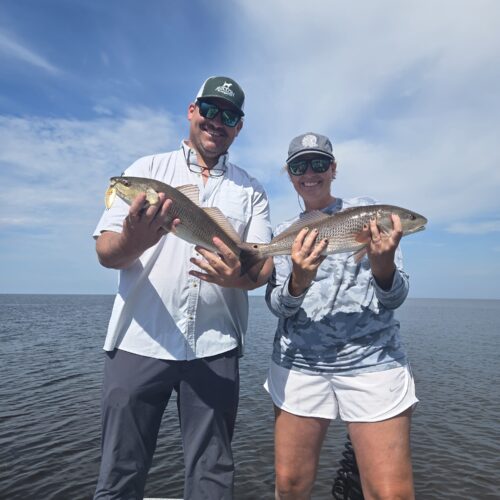 inbound6248165650855594921