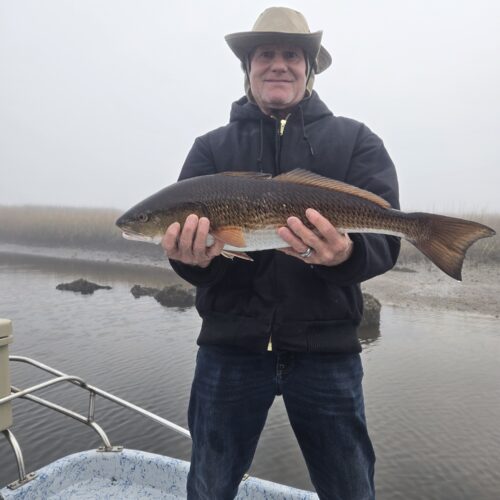 inbound7062433351481660044