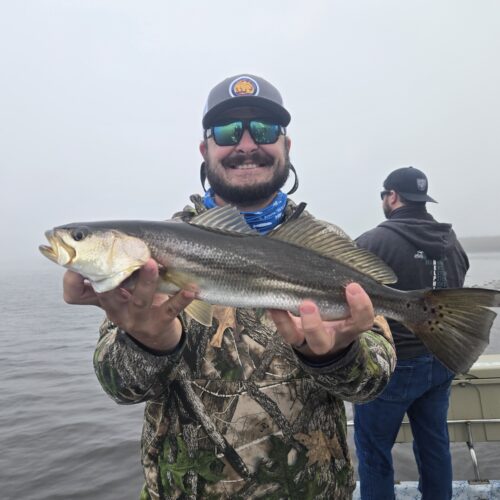 inbound7170733611309598289