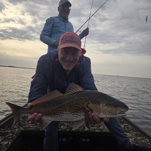 inbound7281049505861003179