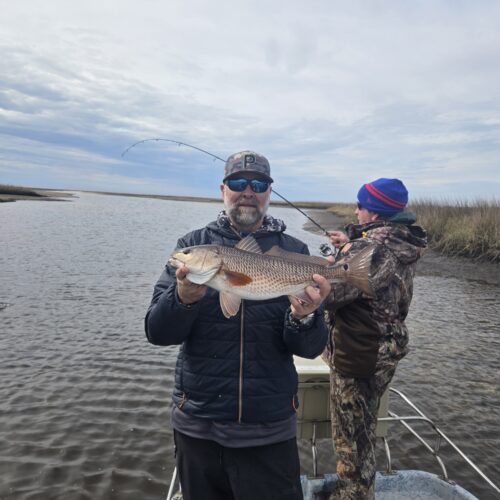 inbound7731595065474396241