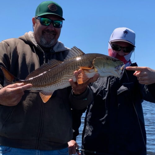 inbound7958640358961675046