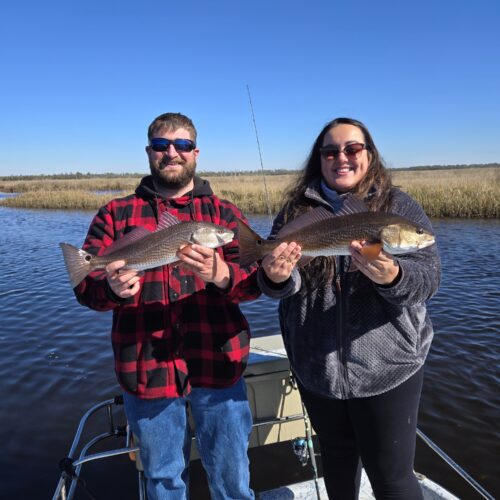 inbound8606593378644217542