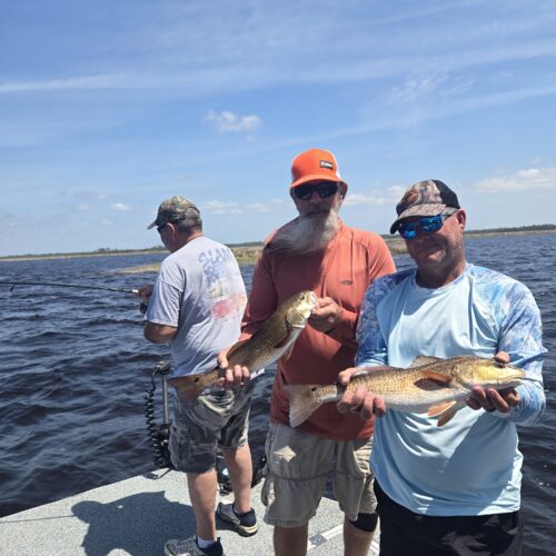 inbound8978327260835030361