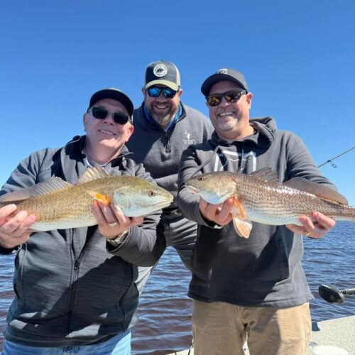 inbound9034833625849508638