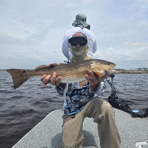 inbound9128255363724845523