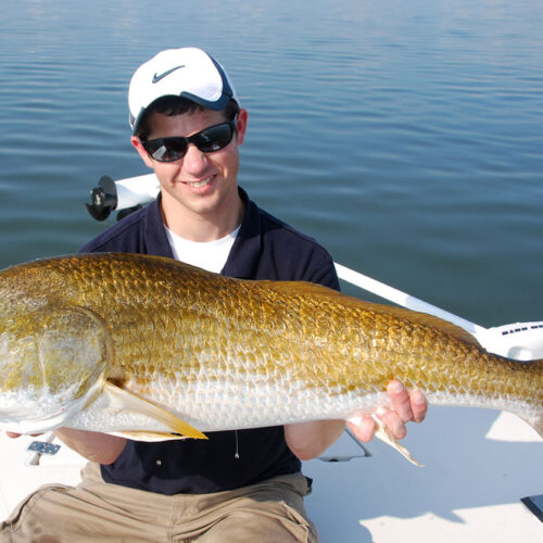 bull redfish from north indian river lagoon