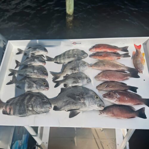 inshore mix