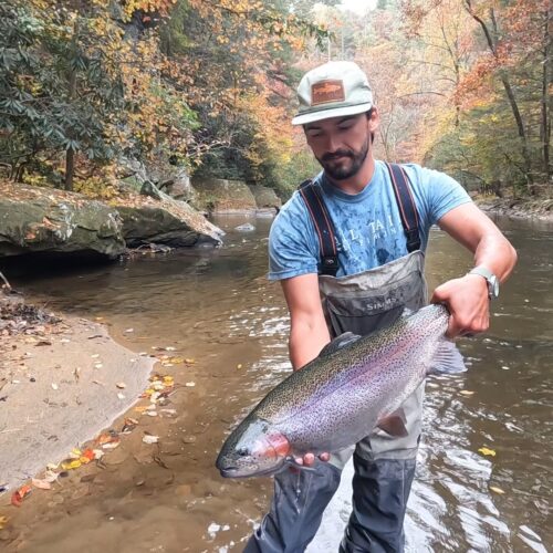 jake trout