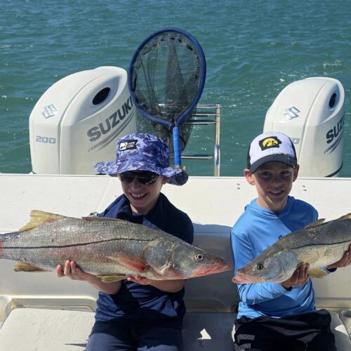 kids snook
