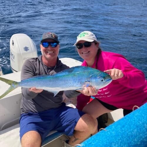 mahi 2