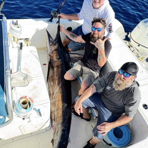marlin