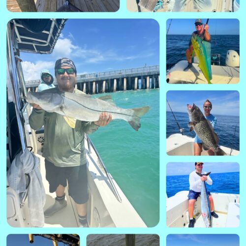 mixed fish